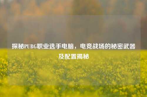 探秘PUBG职业选手电脑,电竞战场的秘密武器及配置揭秘