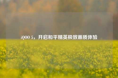 iQOO 5,开启和平精英极致画质体验