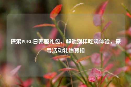 探索PUBG日韩服礼包，解锁别样吃鸡体验，探寻活动礼物真相