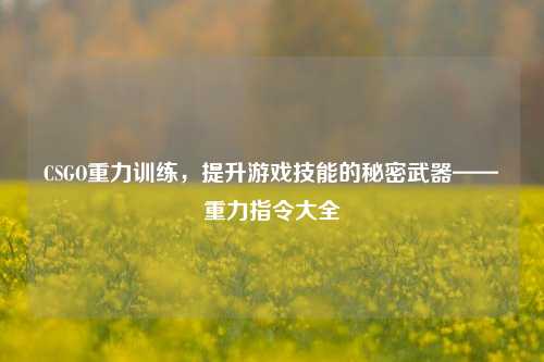 CSGO重力训练，提升游戏技能的秘密武器——重力指令大全