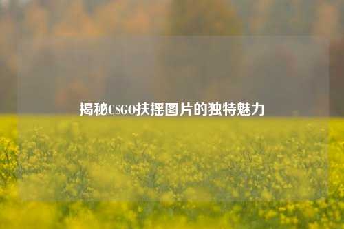 揭秘CSGO扶摇图片的独特魅力