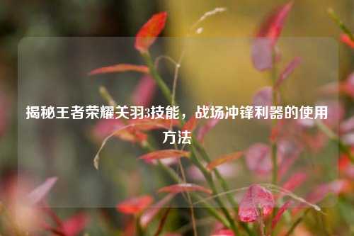 揭秘王者荣耀关羽3技能，战场冲锋利器的使用方法