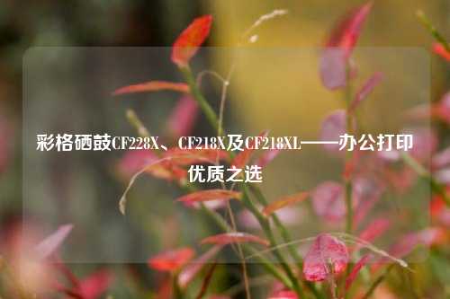 彩格硒鼓CF228X、CF218X及CF218XL——办公打印优质之选