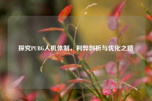 探究PUBG人机体制,利弊剖析与优化之路