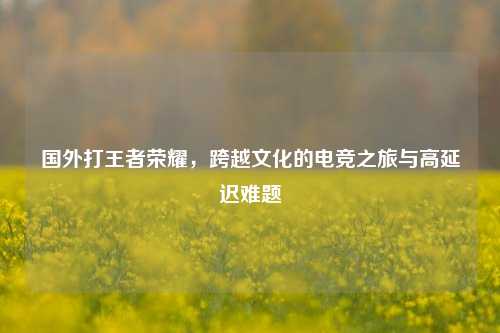 国外打王者荣耀，跨越文化的电竞之旅与高延迟难题