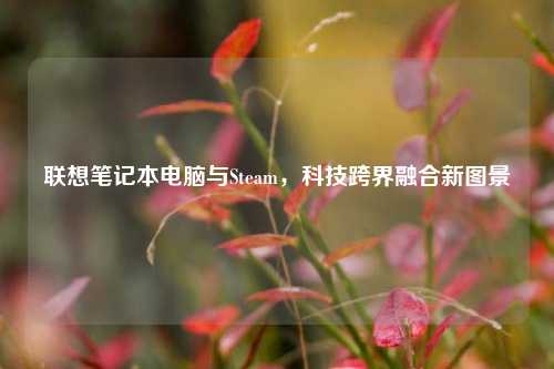 联想笔记本电脑与Steam,科技跨界融合新图景