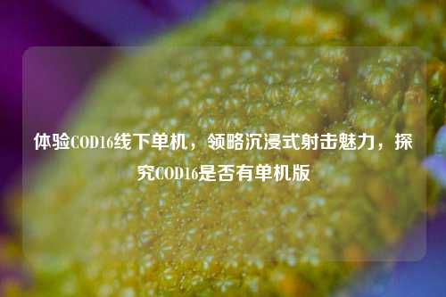 体验COD16线下单机,领略沉浸式射击魅力,探究COD16是否有单机版