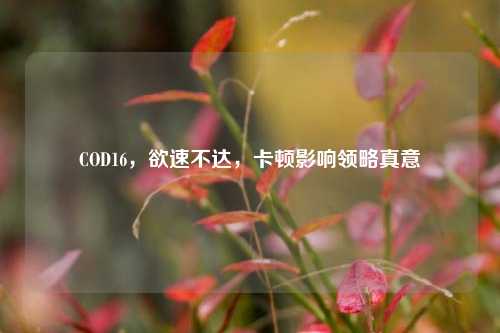 COD16，欲速不达，卡顿影响领略真意