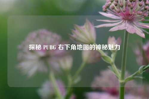 探秘 PUBG 右下角地图的神秘魅力