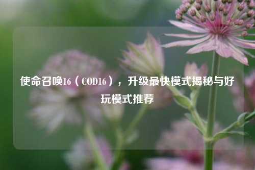 使命召唤16（COD16），升级最快模式揭秘与好玩模式推荐