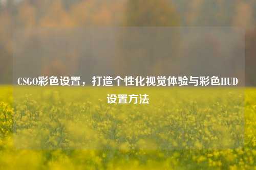CSGO彩色设置,打造个性化视觉体验与彩色HUD设置方法