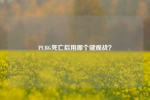 PUBG死亡后用哪个键观战?