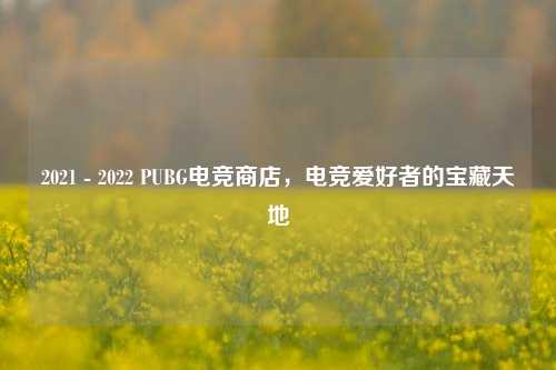 2021 - 2022 PUBG电竞商店,电竞爱好者的宝藏天地