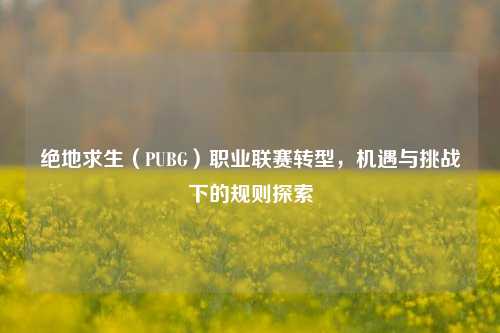 绝地求生(PUBG)职业联赛转型,机遇与挑战下的规则探索