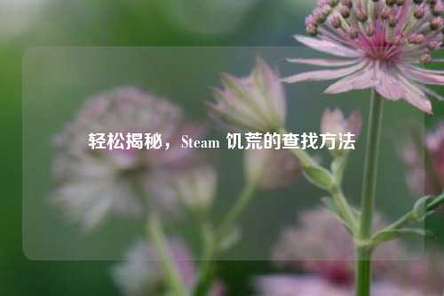 轻松揭秘，Steam 饥荒的查找方法