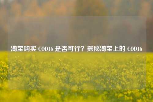 淘宝购买 COD16 是否可行?探秘淘宝上的 COD16