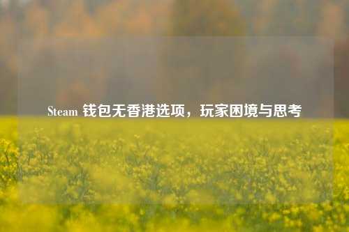 Steam 钱包无香港选项,玩家困境与思考