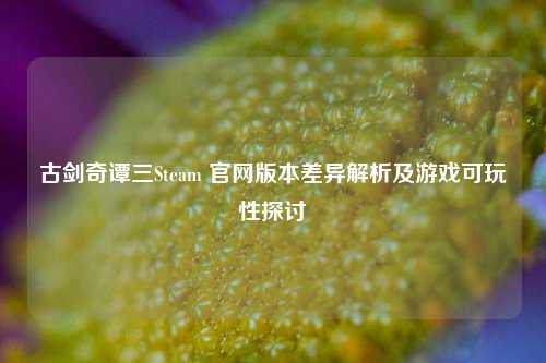 古剑奇谭三Steam 官网版本差异解析及游戏可玩性探讨