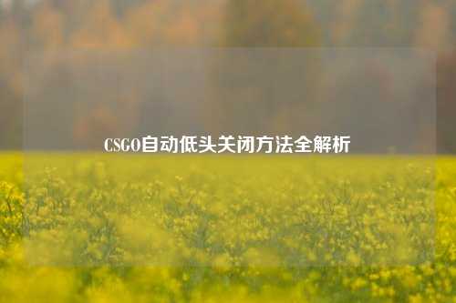 CSGO自动低头关闭方法全解析