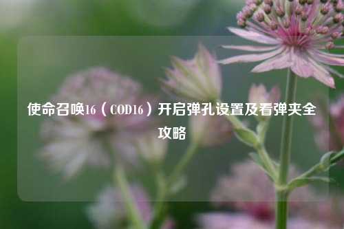 使命召唤16(COD16)开启弹孔设置及看弹夹全攻略