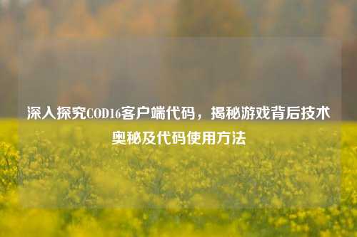 深入探究COD16客户端代码，揭秘游戏背后技术奥秘及代码使用方法