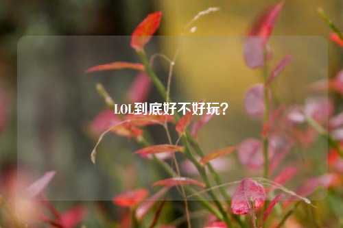 LOL到底好不好玩?