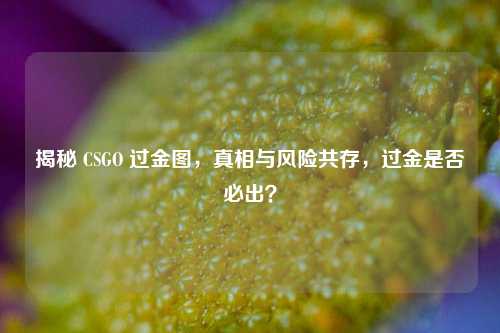 揭秘 CSGO 过金图,真相与风险共存,过金是否必出?