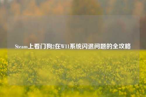 Steam上看门狗2在W11系统闪退问题的全攻略