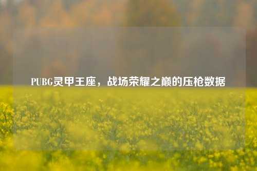PUBG灵甲王座,战场荣耀之巅的压枪数据