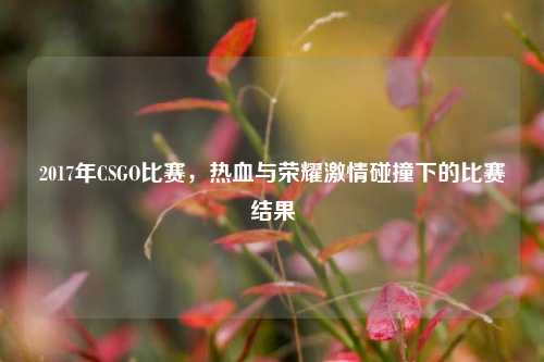 2017年CSGO比赛,热血与荣耀激情碰撞下的比赛结果
