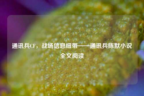 通讯兵CF，战场信息纽带——通讯兵陈默小说全文阅读