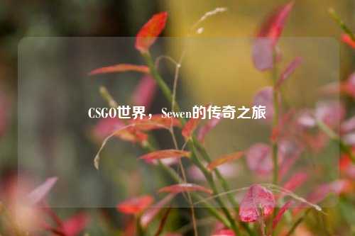 CSGO世界,Sewen的传奇之旅