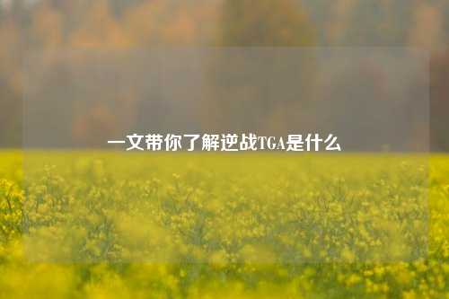 一文带你了解逆战TGA是什么