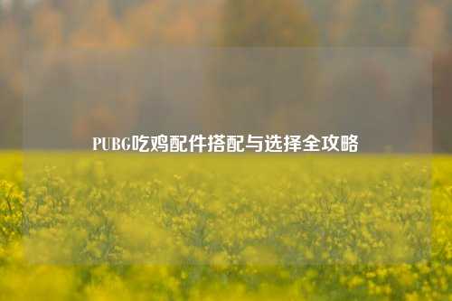 PUBG吃鸡配件搭配与选择全攻略