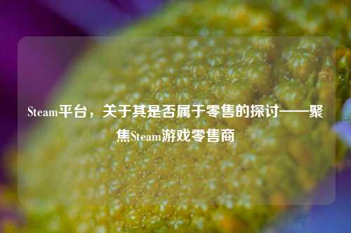 Steam平台,关于其是否属于零售的探讨——聚焦Steam游戏零售商