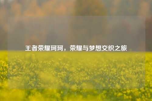 王者荣耀珂珂,荣耀与梦想交织之旅