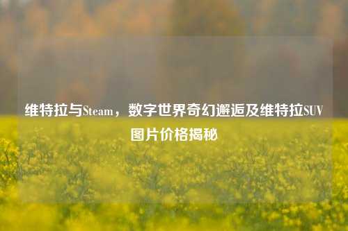 维特拉与Steam,数字世界奇幻邂逅及维特拉SUV图片价格揭秘