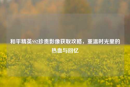和平精英SS2珍贵影像获取攻略,重温时光里的热血与回忆