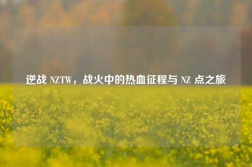 逆战 NZTW，战火中的热血征程与 NZ 点之旅