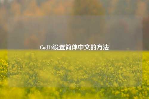 Cod16设置简体中文的方法