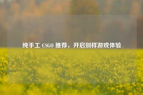 纯手工 CSGO 推荐,开启别样游戏体验