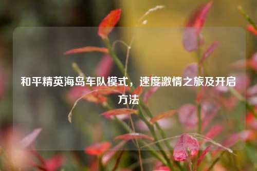 和平精英海岛车队模式,速度激情之旅及开启方法