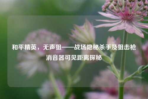 和平精英,无声狙——战场隐秘杀手及狙击枪消音器可见距离探秘