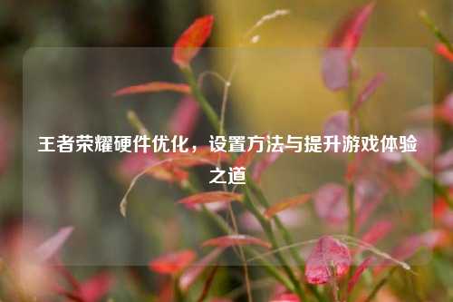 王者荣耀硬件优化,设置方法与提升游戏体验之道