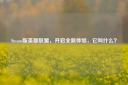 Steam版英雄联盟,开启全新体验,它叫什么?