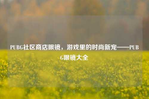 PUBG社区商店眼镜,游戏里的时尚新宠——PUBG眼镜大全