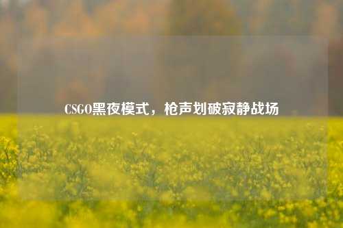 CSGO黑夜模式,枪声划破寂静战场