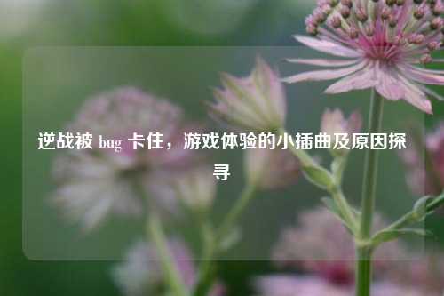 逆战被 bug 卡住,游戏体验的小插曲及原因探寻