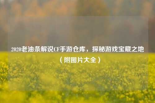 2020老油条解说CF手游仓库,探秘游戏宝藏之地(附图片大全)
