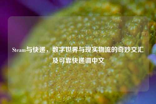 Steam与快递,数字世界与现实物流的奇妙交汇及可靠快递调中文